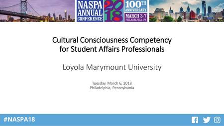 Cultural Consciousness Competency for Student Affairs Professionals