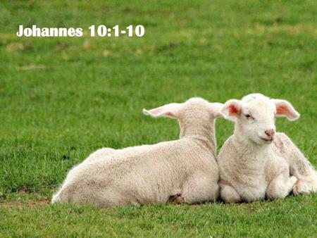 Johannes 10:1-10 PowerPoint agtergrond