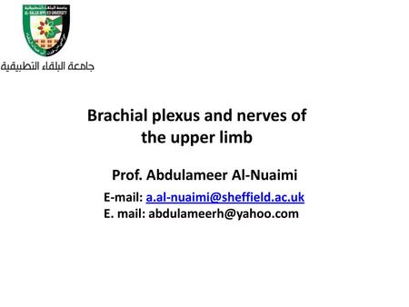 Brachial plexus and nerves of the upper limb