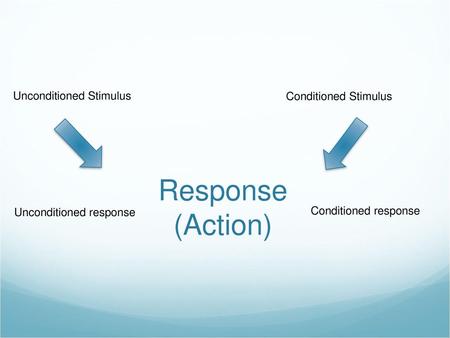 Response (Action) Unconditioned Stimulus Conditioned Stimulus