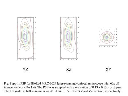 YZ XZ XY Fig. Supp 1: PSF for BioRad MRC-1024 laser-scanning confocal microscope with 60x oil immersion lens (NA 1.4). The PSF was sampled with a resolution.