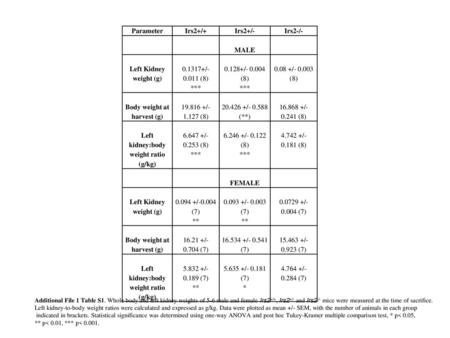 Body weight at harvest (g) Left kidney:body weight ratio (g/kg)