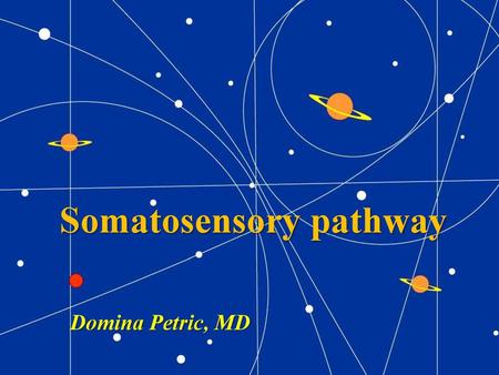 Somatosensory pathway