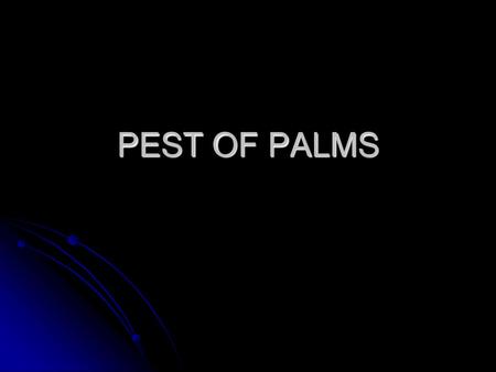 PEST OF PALMS.