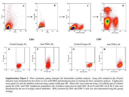 A B C D CD4+ CD8+ Control Isotype Ab Anti-TNFa Ab Control Isotype Ab