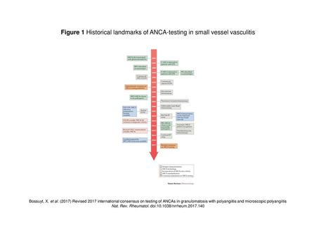 Nat. Rev. Rheumatol. doi: /nrrheum