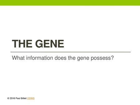 What information does the gene possess?