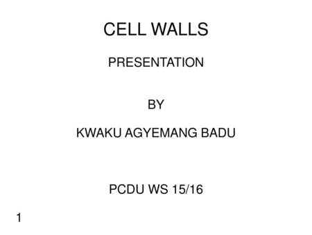 PRESENTATION BY KWAKU AGYEMANG BADU PCDU WS 15/16 1