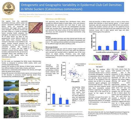 Ontogenetic and Geographic Variability in Epidermal Club Cell Densities in White Suckers (Catostomus commersoni)​ Dillan Berg , Steven Miller, Dylan Sturtevant,