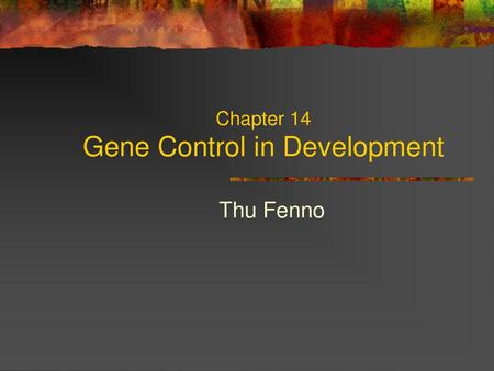 Chapter 14 Gene Control in Development