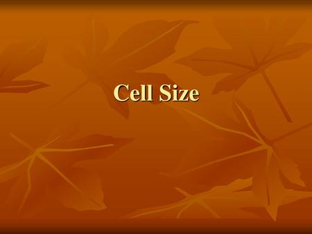 Cell Size.