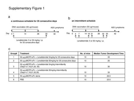 Median Tumor Development Time