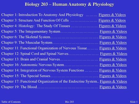 Biology 203 – Human Anatomy & Physiology