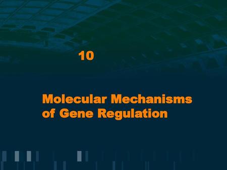 Molecular Mechanisms of Gene Regulation