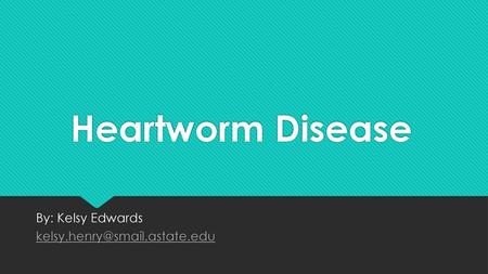 By: Kelsy Edwards kelsy.henry@smail.astate.edu Heartworm Disease By: Kelsy Edwards kelsy.henry@smail.astate.edu.