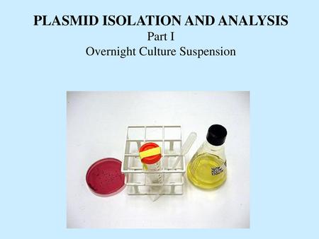 PLASMID ISOLATION AND ANALYSIS Part I Overnight Culture Suspension