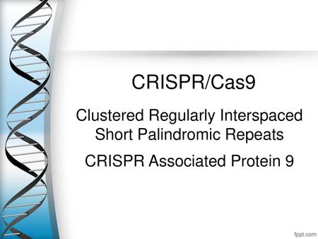 CRISPR/Cas9 Clustered Regularly Interspaced Short Palindromic Repeats