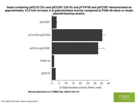 Yeast containing pICC10 (Tir) and pICC267 (CK18) and pTY474S and pICC267 demonstrated an approximately 12.5‐fold increase in β‐galactosidase activity compared.