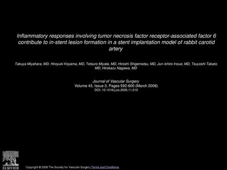 Inflammatory responses involving tumor necrosis factor receptor-associated factor 6 contribute to in-stent lesion formation in a stent implantation model.