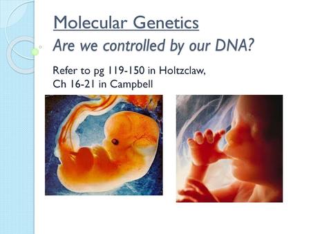 Molecular Genetics Are we controlled by our DNA?