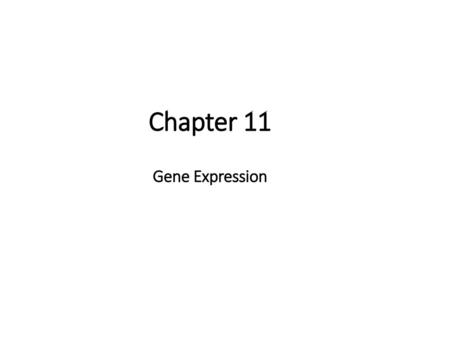 Chapter 11 Gene Expression.