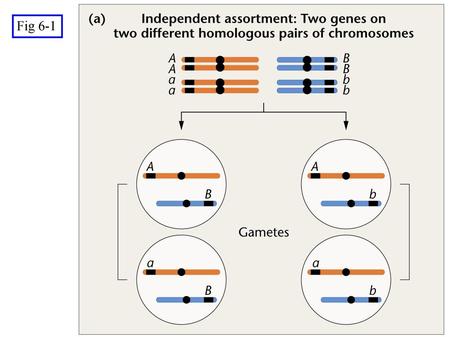 Fig 6-1 Figure: 06-01a Caption: