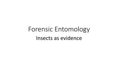 Forensic Entomology Insects as evidence.