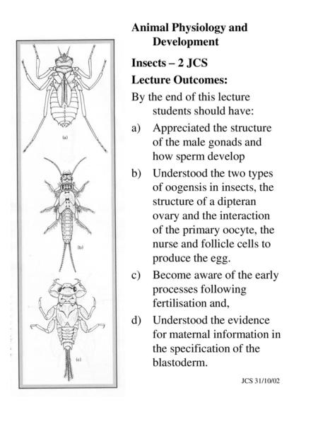 Animal Physiology and Development