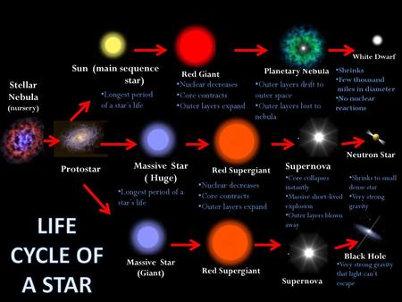 LIFE CYCLE OF A STAR Sun (main sequence star) Stellar Nebula