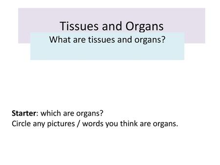 What are tissues and organs?