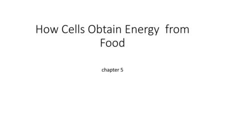 How Cells Obtain Energy from Food