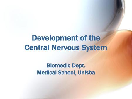 Development of the Central Nervous System Biomedic Dept