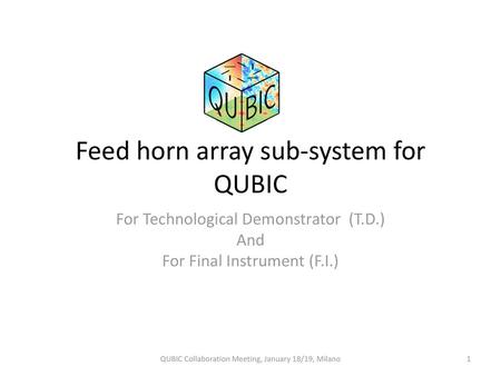 Feed horn array sub-system for QUBIC