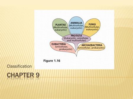 Classification Chapter 9.