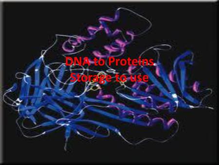 DNA to Proteins Storage to use