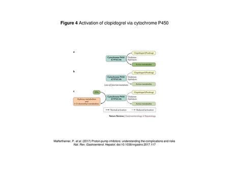 Figure 4 Activation of clopidogrel via cytochrome P450