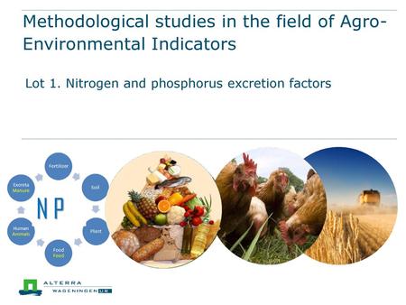 Methodological studies in the field of Agro-Environmental Indicators