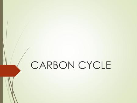 CARBON CYCLE.