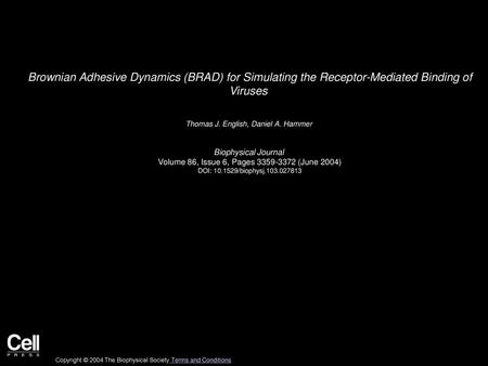 Thomas J. English, Daniel A. Hammer  Biophysical Journal 