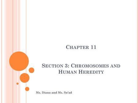 Chapter 11 Section 3: Chromosomes and Human Heredity