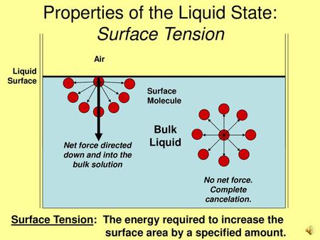 Properties of the Liquid State: Surface Tension