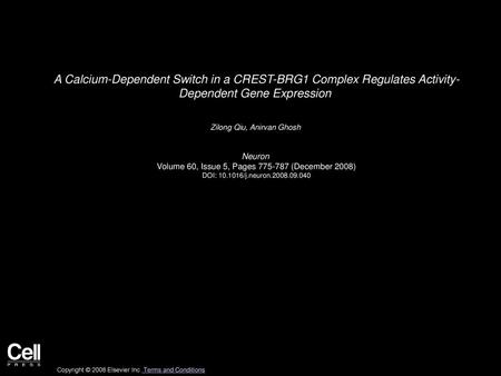 Zilong Qiu, Anirvan Ghosh  Neuron 