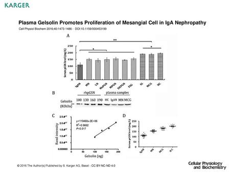 Cell Physiol Biochem 2016;40: DOI: /