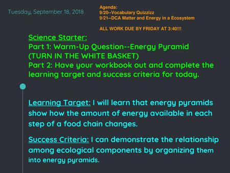 Part 1: Warm-Up Question--Energy Pyramid (TURN IN THE WHITE BASKET)