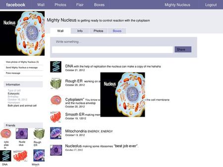 Mighty Nucleus is getting ready to control reaction with the cytoplasm