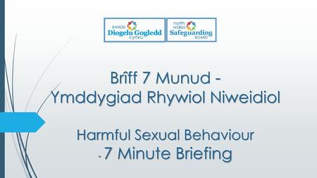 1. BETH YDYW? WHAT IS IT? Gellir diffinio ymddygiad rhywiol niweidiol fel: Ymddygiad rhywiol gan blant a phobl ifanc dan 18 oed sy’n amhriodol.