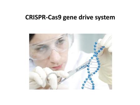 CRISPR-Cas9 gene drive system