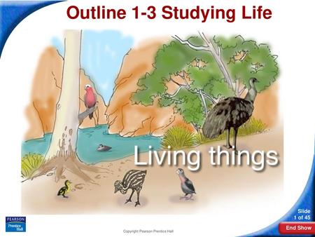 Outline 1-3 Studying Life