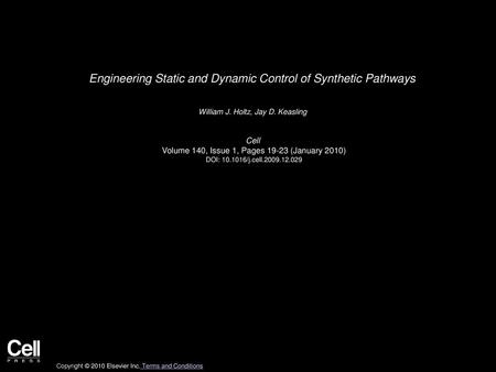 Engineering Static and Dynamic Control of Synthetic Pathways