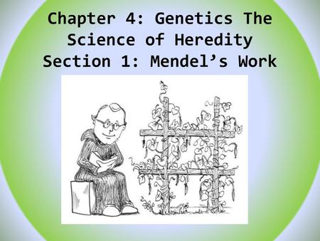 Chapter 4: Genetics The Science of Heredity Section 1: Mendel’s Work